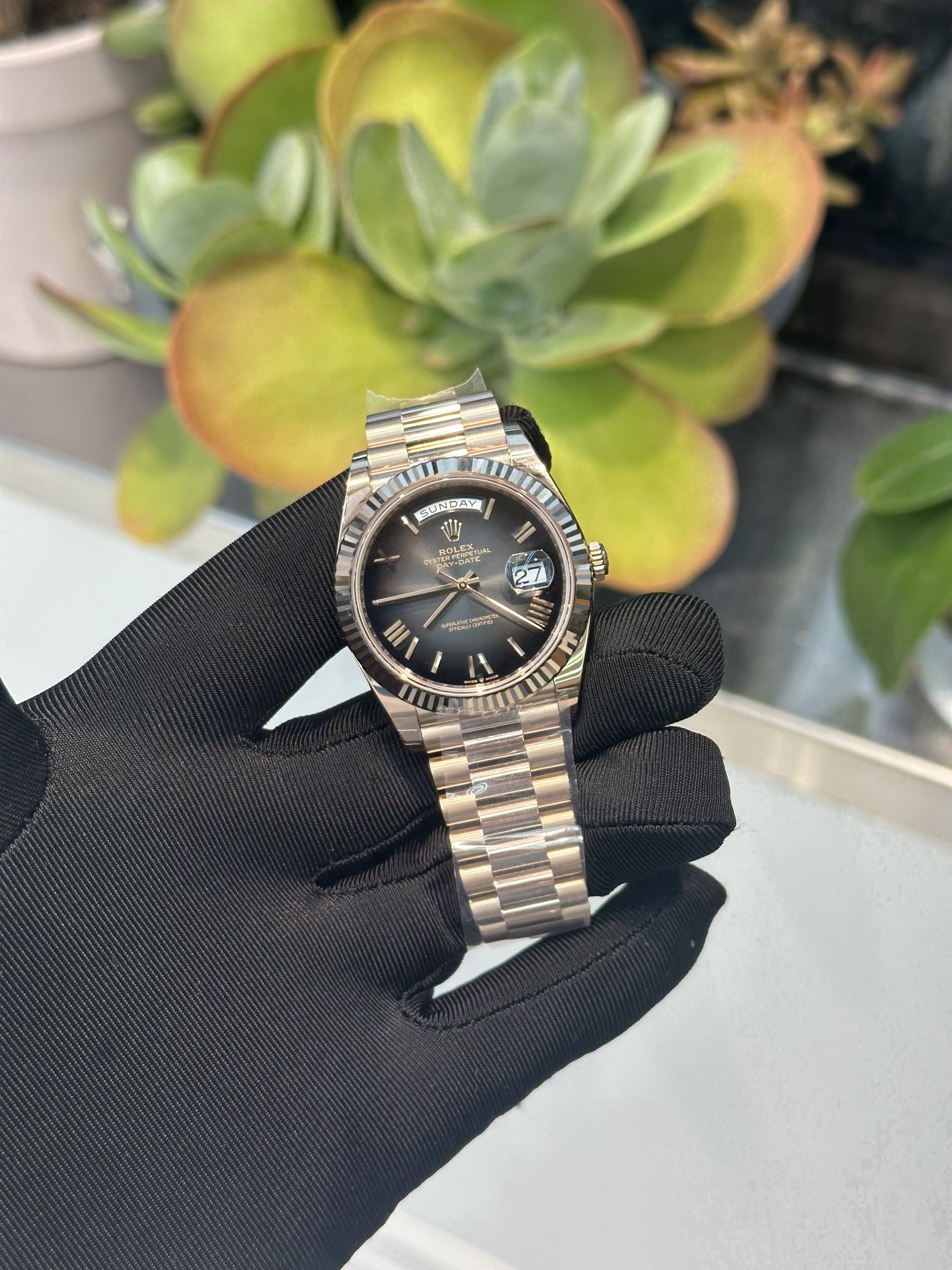 Rolex Datejust presented in the studio